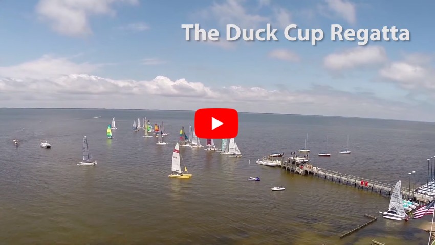 duck cup